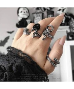 Alchemy Wild Black Rose Ring Silver New In