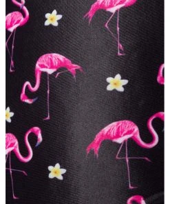 Belsira Summer Flamingo High Bikini Briefs Black New In