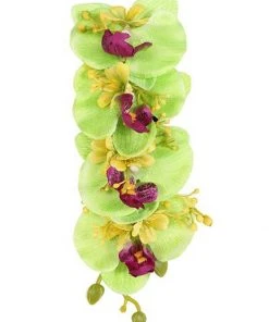 Collectif Darlene 50's Hairflower Green New In