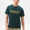 New In Dickies Mens Dunbar T-Shirt Green