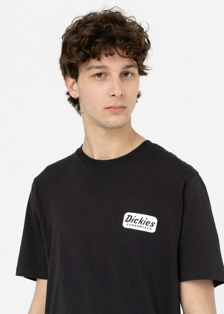 Dickies Heren Fircrest T-Shirt Black