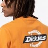 Dickies Men Ruston T-Shirt Ochre