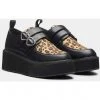 Koi Footwear Savage Heart Leopard Creepers Black New In