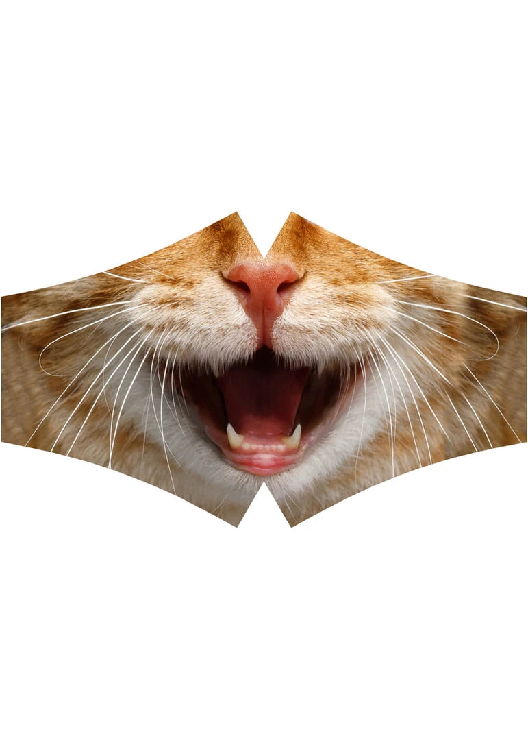 Succubus Facemask Cat New In