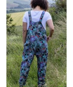 New In Run And Fly Dinosaur Rainbow 60's Dungarees Grey
