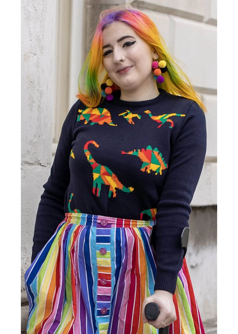 Run And Fly Geo Rainbow Dinoaur 60's Jumper Navyblue