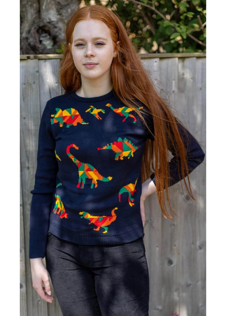 Run And Fly Geo Rainbow Dinoaur 60's Jumper Navyblue