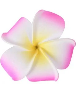 Succubus Largel Foam Party 50's Hairflower Pink New In