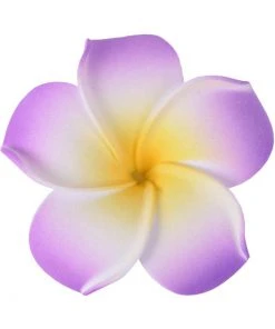 Succubus Small Foam Party 50's Hairflower Purple