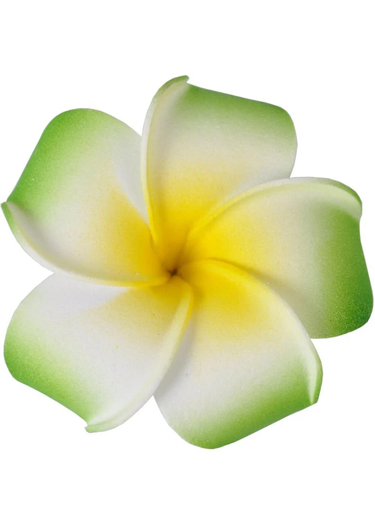 Succubus Small Foam Party 50's Hairflower Green