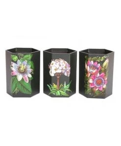 Temerity Jones Botanical Garden Set 3 Pen Pots Black New In