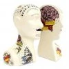 New In Temerity Jones Phrenology Tattoo Set Bookends Multi
