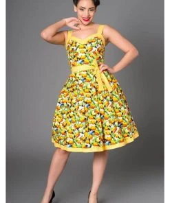 Victory Parade Valerie Toucan 50's Swing Dress New In
